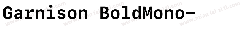 Garnison BoldMono字体转换